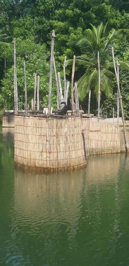 Rashmi Homestay Balapitiya Exterior photo